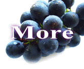 �gMORE�Aӱ�A���������l�h